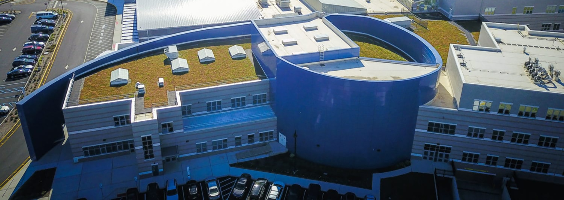 adaptive green new york green roof