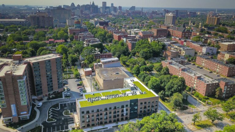 green roof website project 2