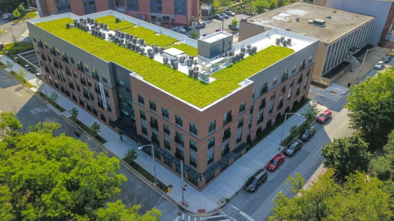 green roof website project