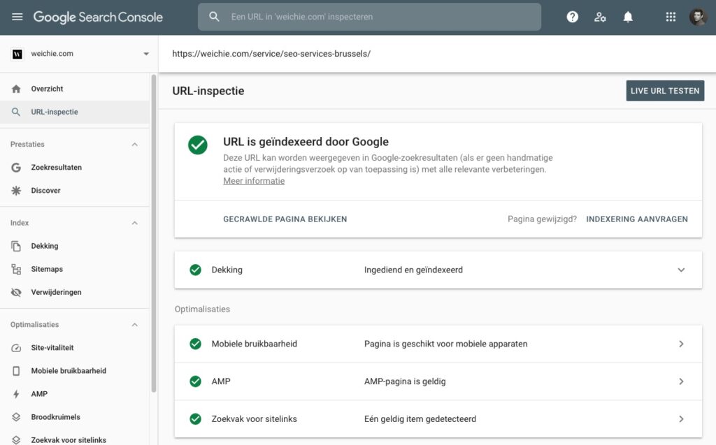 find your indexed pages